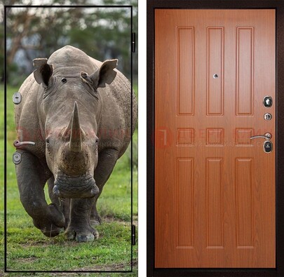 Металлическая дверь с фотопечатью носорога ДФ-31 в Казани