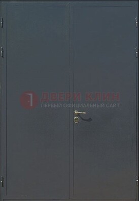 Двухстворчатая техническая дверь ДТ-5 в Казани