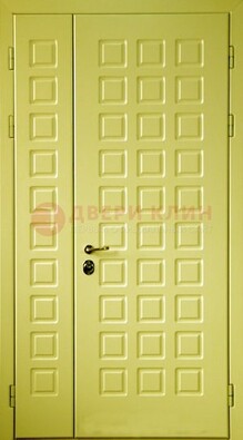 Салатовая тамбурная дверь ДТМ-28 в Казани
